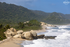 KOL_Tayrona_001