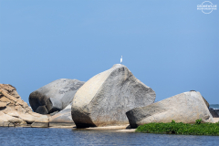 KOL_Tayrona_004