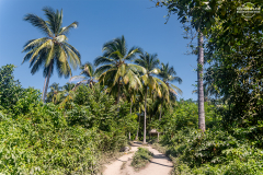 KOL_Tayrona_010