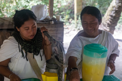 KOL_Tayrona_016