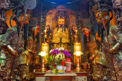 viet_hcm_017
