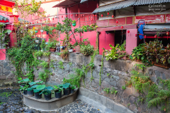 viet_hcm_019