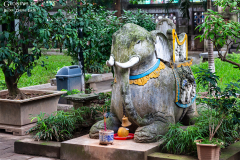 viet_hanoi_stadt_010