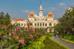 viet_hcm_land_006