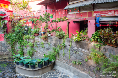 viet_hcm_land_007