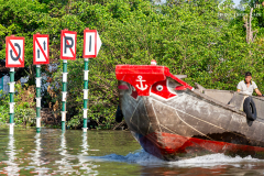 viet_meg_land_001