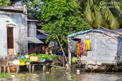 viet_meg_land_002