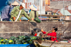 viet_meg_land_012