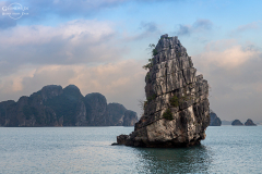 viet_halong_015