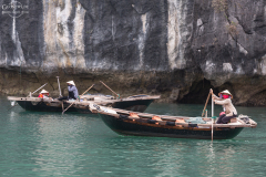 viet_halong_023