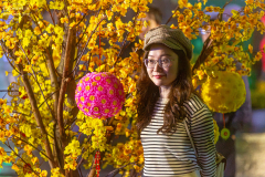 viet_hanoi_023