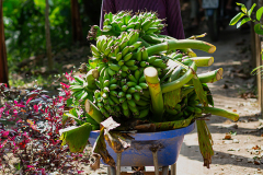 viet_mekongdelta_019