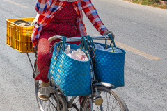 viet_mekongdelta_029