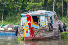 viet_mekongdelta_030