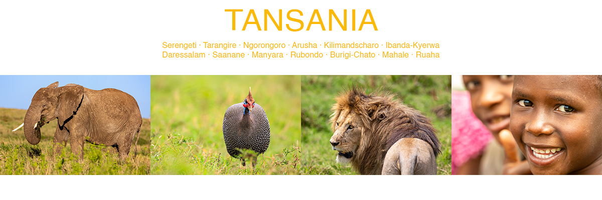 Tansania, Serengeti